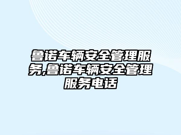 魯諾車輛安全管理服務,魯諾車輛安全管理服務電話