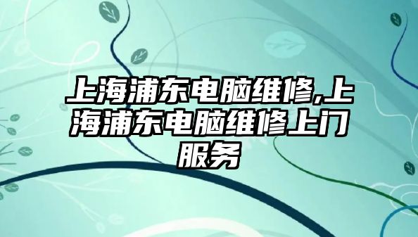 上海浦東電腦維修,上海浦東電腦維修上門服務