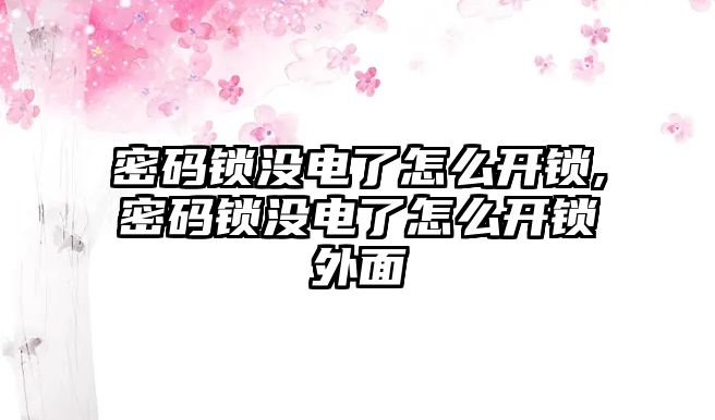 密碼鎖沒電了怎么開鎖,密碼鎖沒電了怎么開鎖外面