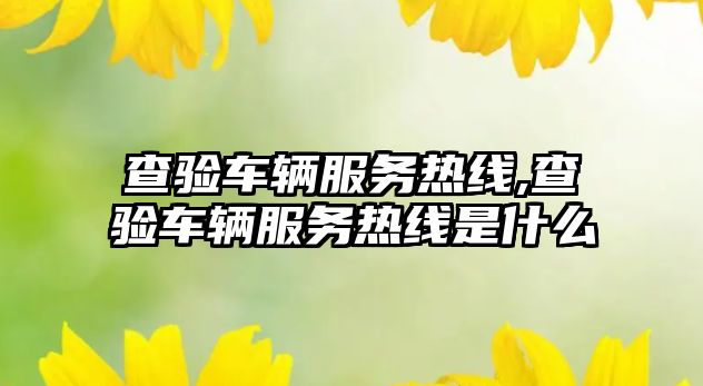 查驗車輛服務熱線,查驗車輛服務熱線是什么