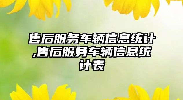 售后服務車輛信息統計,售后服務車輛信息統計表