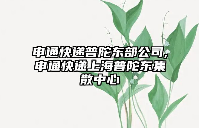 申通快遞普陀?xùn)|部公司,申通快遞上海普陀?xùn)|集散中心