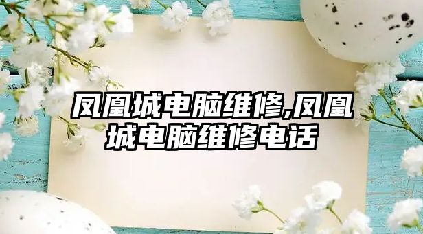 鳳凰城電腦維修,鳳凰城電腦維修電話