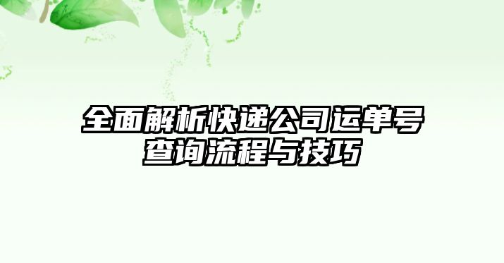 全面解析快遞公司運單號查詢流程與技巧