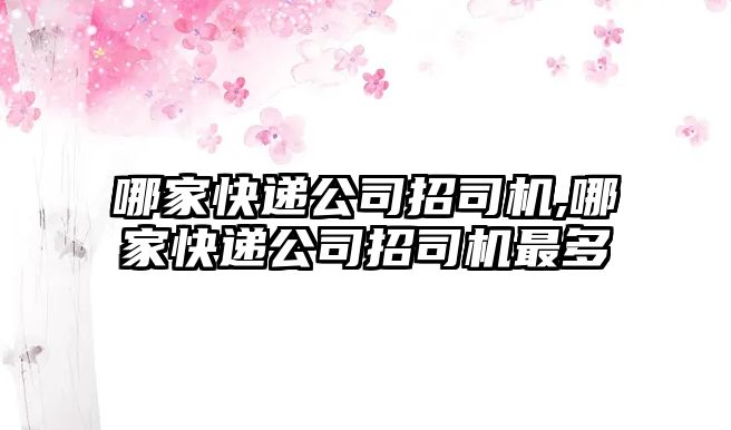 哪家快遞公司招司機,哪家快遞公司招司機最多