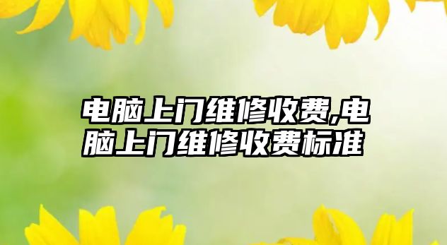 電腦上門維修收費,電腦上門維修收費標準