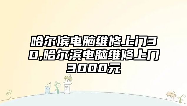 哈爾濱電腦維修上門30,哈爾濱電腦維修上門3000元