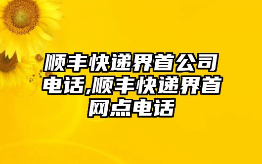 順豐快遞界首公司電話,順豐快遞界首網點電話