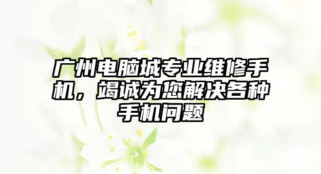 廣州電腦城專業維修手機，竭誠為您解決各種手機問題