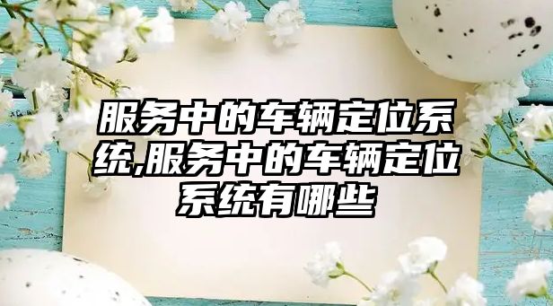 服務(wù)中的車輛定位系統(tǒng),服務(wù)中的車輛定位系統(tǒng)有哪些