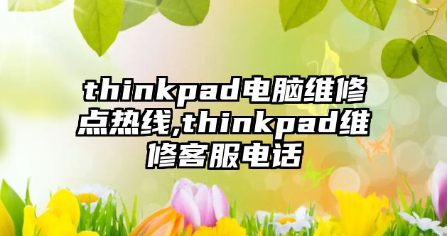 thinkpad電腦維修點(diǎn)熱線,thinkpad維修客服電話