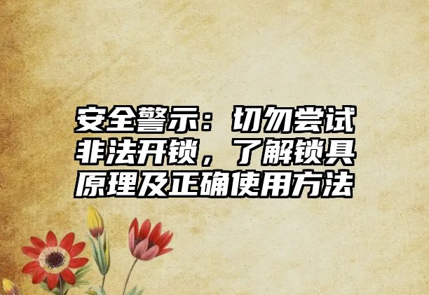 安全警示：切勿嘗試非法開鎖，了解鎖具原理及正確使用方法