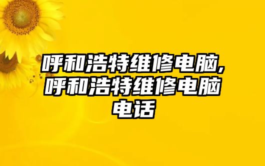 呼和浩特維修電腦,呼和浩特維修電腦電話