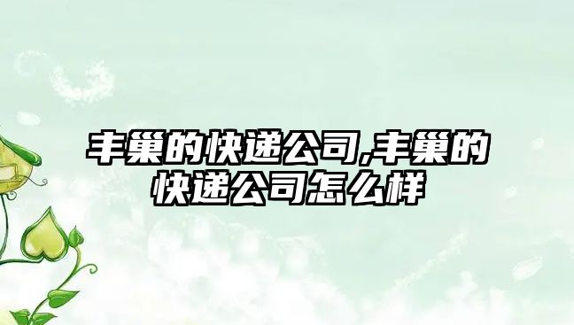 豐巢的快遞公司,豐巢的快遞公司怎么樣