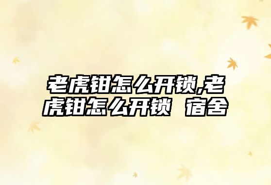 老虎鉗怎么開鎖,老虎鉗怎么開鎖 宿舍