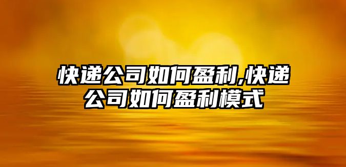 快遞公司如何盈利,快遞公司如何盈利模式