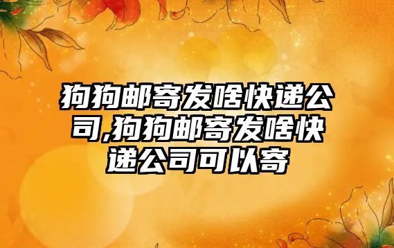 狗狗郵寄發啥快遞公司,狗狗郵寄發啥快遞公司可以寄