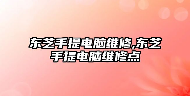 東芝手提電腦維修,東芝手提電腦維修點