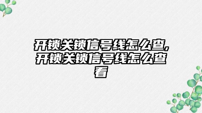 開鎖關鎖信號線怎么查,開鎖關鎖信號線怎么查看