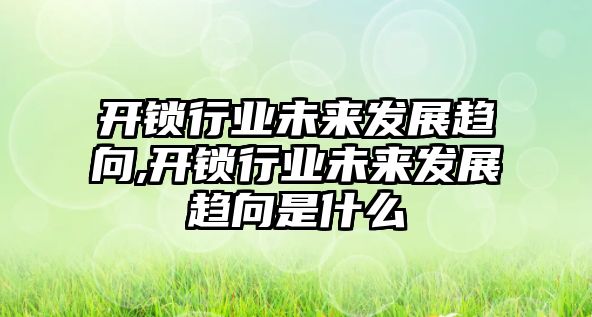 開鎖行業未來發展趨向,開鎖行業未來發展趨向是什么