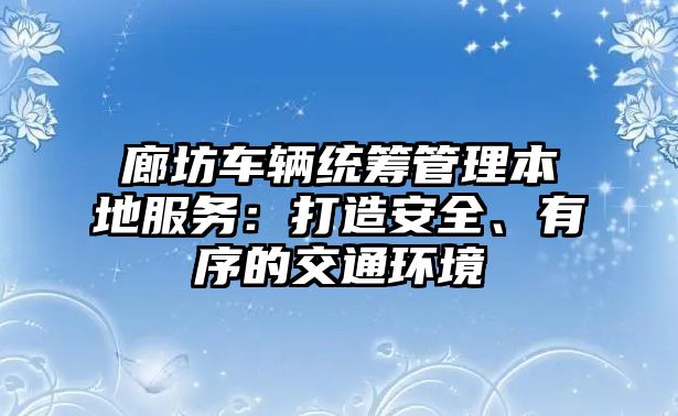 廊坊車輛統籌管理本地服務：打造安全、有序的交通環境