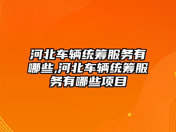 河北車輛統籌服務有哪些,河北車輛統籌服務有哪些項目