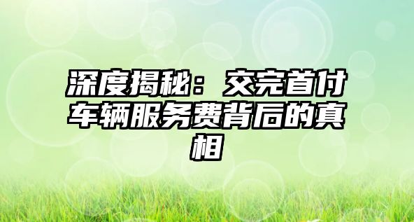 深度揭秘：交完首付車輛服務費背后的真相