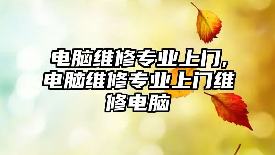 電腦維修專業上門,電腦維修專業上門維修電腦