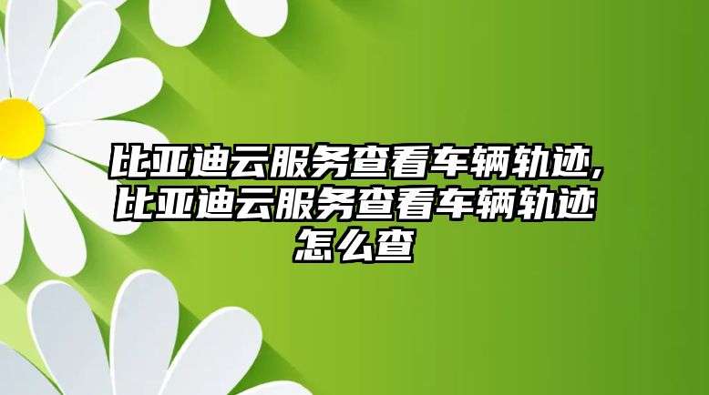 比亞迪云服務(wù)查看車輛軌跡,比亞迪云服務(wù)查看車輛軌跡怎么查