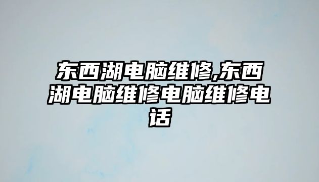 東西湖電腦維修,東西湖電腦維修電腦維修電話