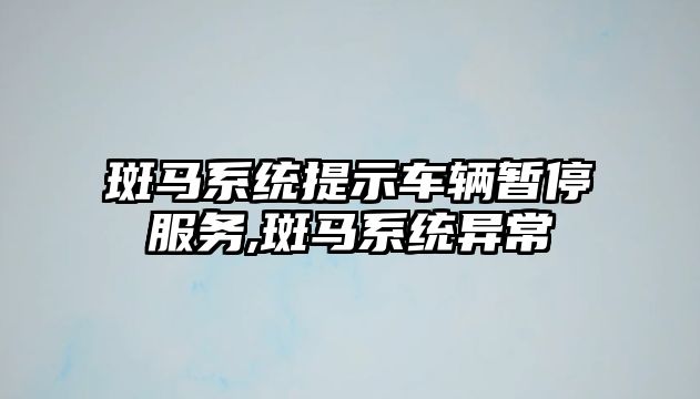 斑馬系統(tǒng)提示車輛暫停服務(wù),斑馬系統(tǒng)異常