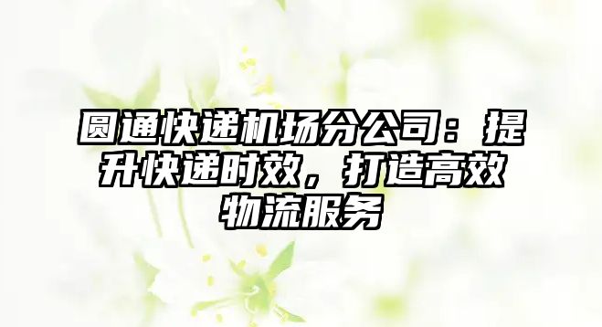 圓通快遞機(jī)場分公司：提升快遞時(shí)效，打造高效物流服務(wù)