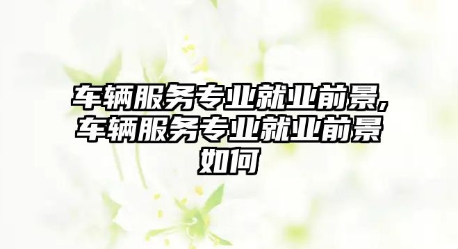 車輛服務(wù)專業(yè)就業(yè)前景,車輛服務(wù)專業(yè)就業(yè)前景如何