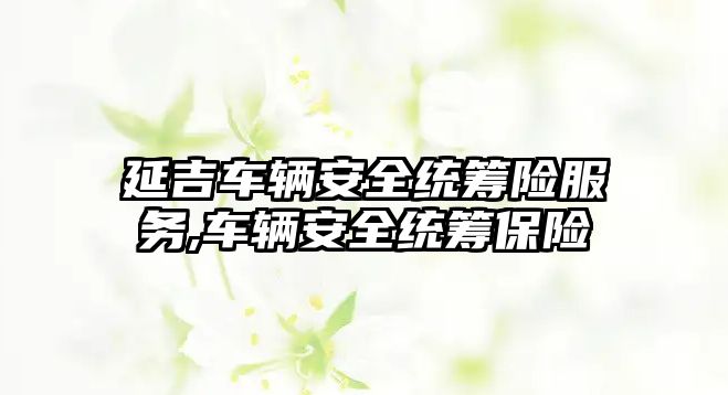 延吉車輛安全統籌險服務,車輛安全統籌保險