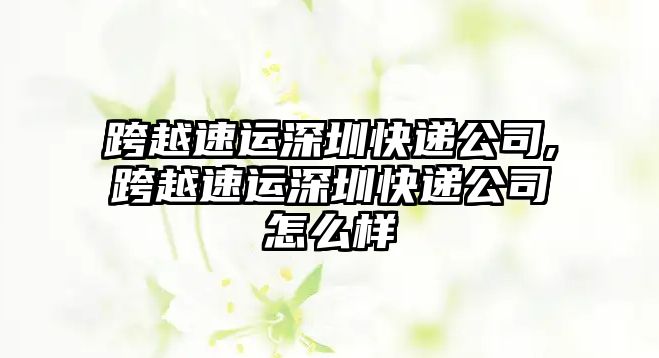 跨越速運深圳快遞公司,跨越速運深圳快遞公司怎么樣