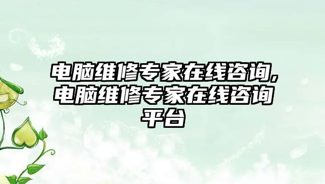 電腦維修專家在線咨詢,電腦維修專家在線咨詢平臺