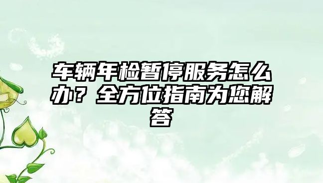 車輛年檢暫停服務怎么辦？全方位指南為您解答