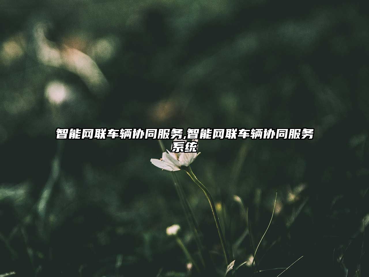 智能網(wǎng)聯(lián)車(chē)輛協(xié)同服務(wù),智能網(wǎng)聯(lián)車(chē)輛協(xié)同服務(wù)系統(tǒng)