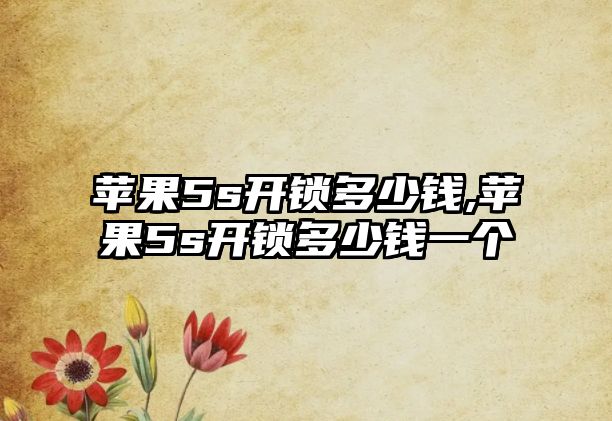 蘋果5s開鎖多少錢,蘋果5s開鎖多少錢一個