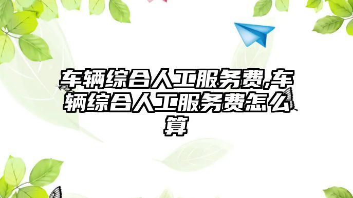 車輛綜合人工服務費,車輛綜合人工服務費怎么算