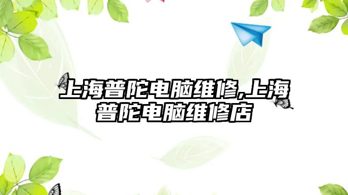 上海普陀電腦維修,上海普陀電腦維修店