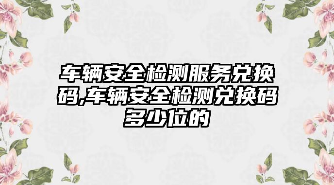 車輛安全檢測服務兌換碼,車輛安全檢測兌換碼多少位的