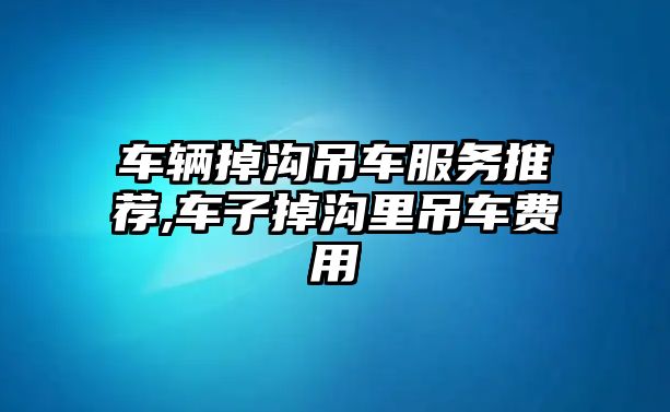 車輛掉溝吊車服務推薦,車子掉溝里吊車費用