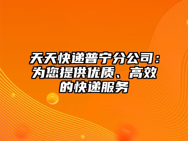 天天快遞普寧分公司：為您提供優(yōu)質(zhì)、高效的快遞服務(wù)