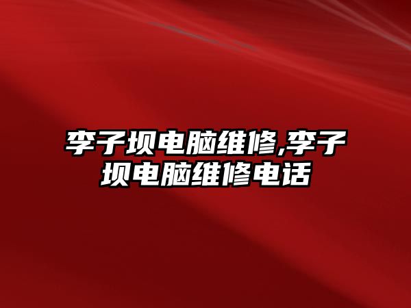 李子壩電腦維修,李子壩電腦維修電話