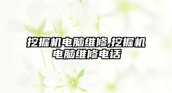 挖掘機電腦維修,挖掘機電腦維修電話