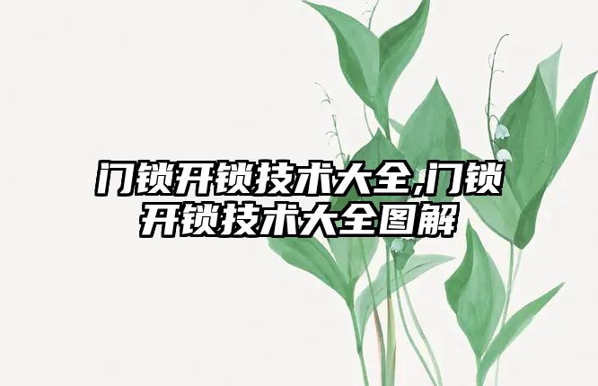 門鎖開鎖技術大全,門鎖開鎖技術大全圖解