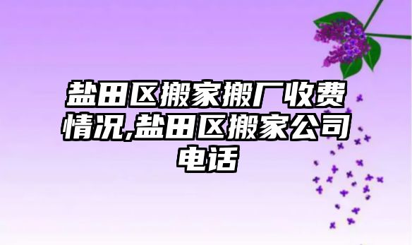 鹽田區(qū)搬家搬廠收費(fèi)情況,鹽田區(qū)搬家公司電話