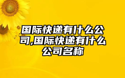 國(guó)際快遞有什么公司,國(guó)際快遞有什么公司名稱