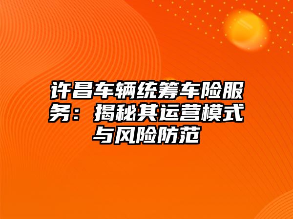 許昌車輛統籌車險服務：揭秘其運營模式與風險防范